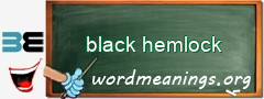 WordMeaning blackboard for black hemlock